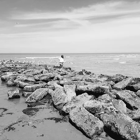 Sealview Nevada Koksijde